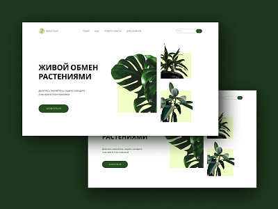 Home page of the plant exchange project branding design plant ui ux uxui design