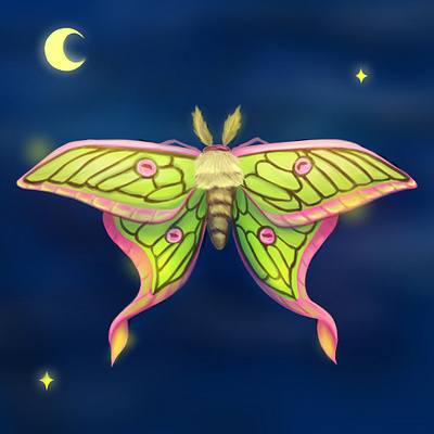 Luna Moth animals illustration moth