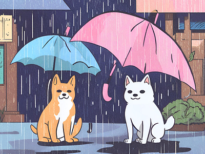 Rainy Cats cats design graphic design illustration vector