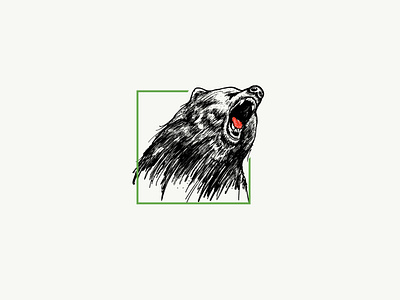 Mathias Kruger bear brand design graphic design icon logo minimal nature photography vector wild