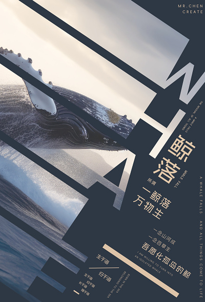 About Whale Falling Creative poster layout Mr.Chen Create design graphic design 个人 原创