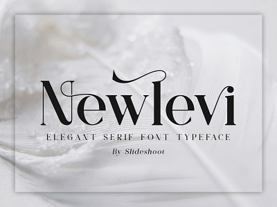 Newlevi Serif Font brand design display fashion font ligature lowercase serif typeface typography uppercase wedding