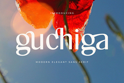 Guchiga - Modern Elegant Sans Serif calligraphy display font ligature luxury font modern font modern serif retro font