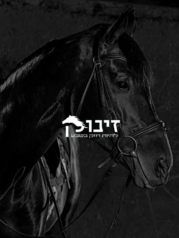 לוגו למטפל רגשי בסוסים branding