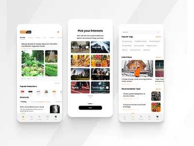 news app ui design branding logo ui