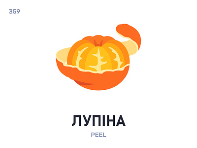 Лупíна / Peel belarus belarusian language daily flat icon illustration vector word