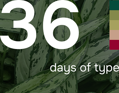36 Days of Type *IN PROGRESS 36daysoftype after effects animation collage design graphic design lettering mixed media motion design motion graphics text animation type typography