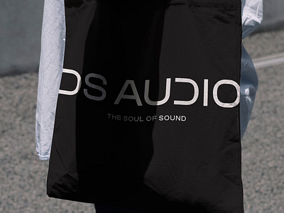 DS Audio logo and visual identity branding graphic design logo ui