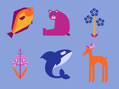 Salmon designs, themes, templates and downloadable graphic elements on  Dribbble