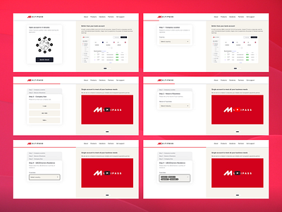 MultiPass - fintech pre-scoring pages b2b bank website banking enterprise finance finance website financial saas fintech fintech website loans marketplace pre scoring pre scoring page saas solution vc