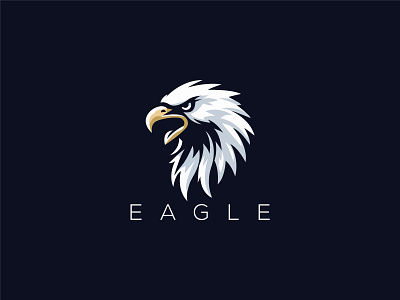 Eagle Eye designs, themes, templates and downloadable graphic elements on  Dribbble