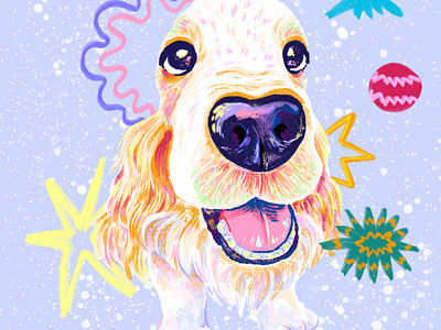 Fun Pet Portrait art color colorful design digital art dog fun pet portrait girlsart illustration pet pet portrait procreate red yellow