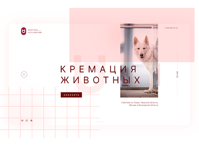 Cremation Pet || Concept dailyui design dribbble figma graphic design landing page ui ui design uidesign uiux ux ux design uxdesign uxui web design webdesign