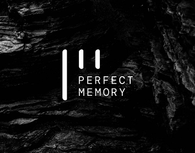 Perfect Memory | Branding & Website branding colors design graphic design guidelines illustration logo palette typography ui ux vector webdesign website