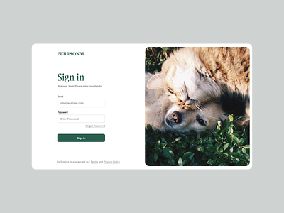 Purrsonal sign in page branding design graphic design ui ux