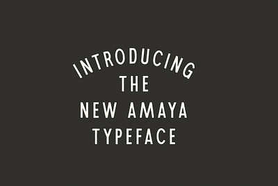 Amaya A Tall Display Typeface amaya display font display typeface hand drawn font hand lettered font handwritten font sans serif font tall font versatile