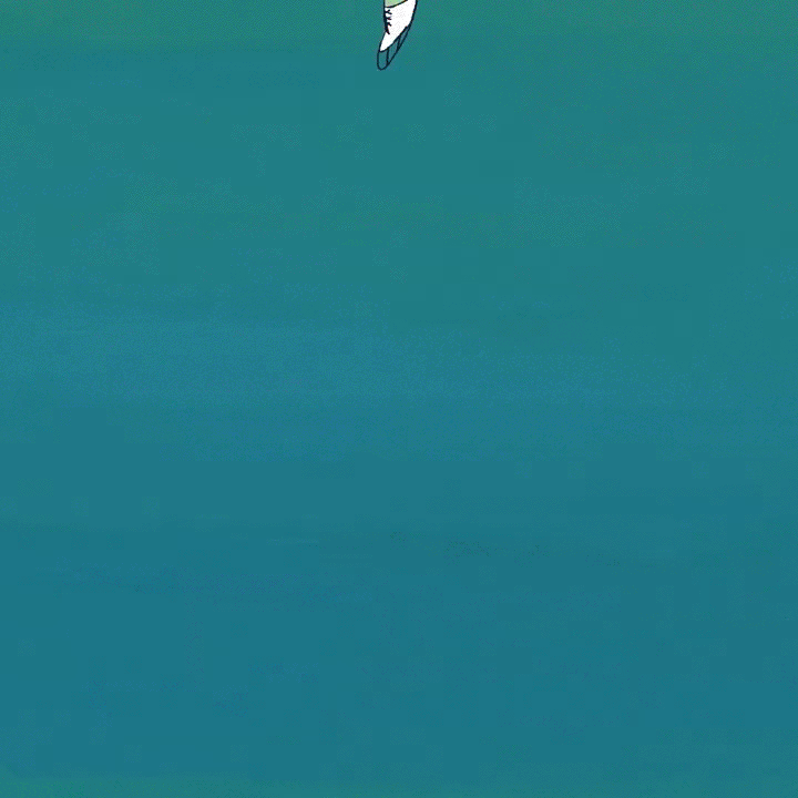 Figure Skating Transition 2d animation animation cell animation character design figure fish frame by frame girl hand drawn illustration jump loop photoshop procreate dreams skating sport traditional animation transition winter