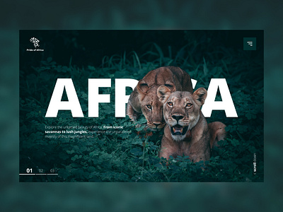 Pride of Africa | Website brand branding clean design flat graphic design illustration logo ui vector