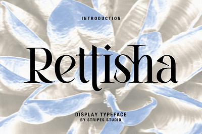 Rettisha Display display font elegant garalde high contrast lettering modern modern twist neon roman serif vintage