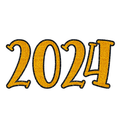 2024 Faux Chenille Graphic