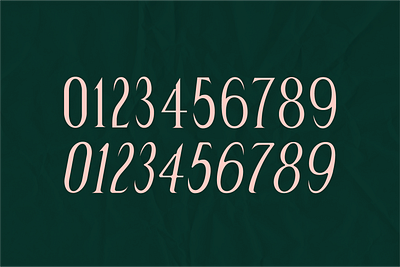 Salem - Condensed Serif condensed edgy elegant font numbers serif sharp timeless type typography
