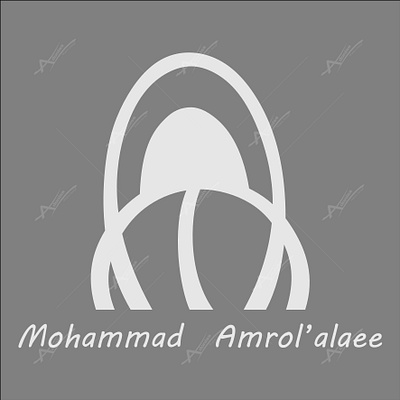 Mohammad Amrolalaee branding design graphic design logo