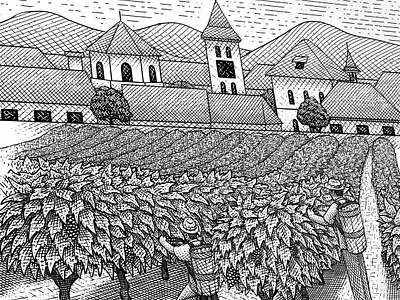 Harvesting Grapes in the Vineyard bottle labels branding engrave engraving etching graphic art graphic design illustration label design retro vintage visual identity wine label