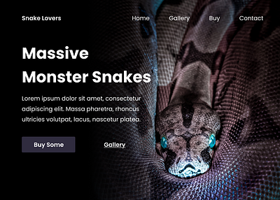 Snake Store Design web design