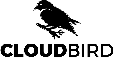 CloudBird branding design flat graphic design logo vector