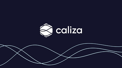 Caliza Brand & UI/UX branding graphic design ui ux web design