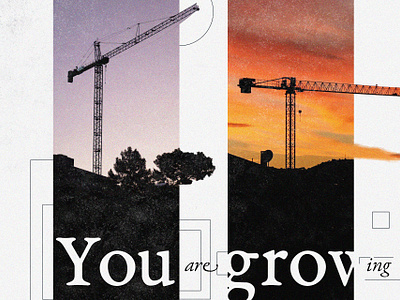 Motivational Cranes crane cranes graphic design grow illustration motivational typography