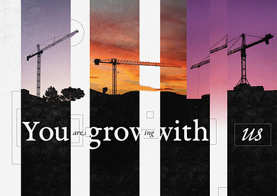 Motivational Cranes crane cranes graphic design grow illustration motivational typography
