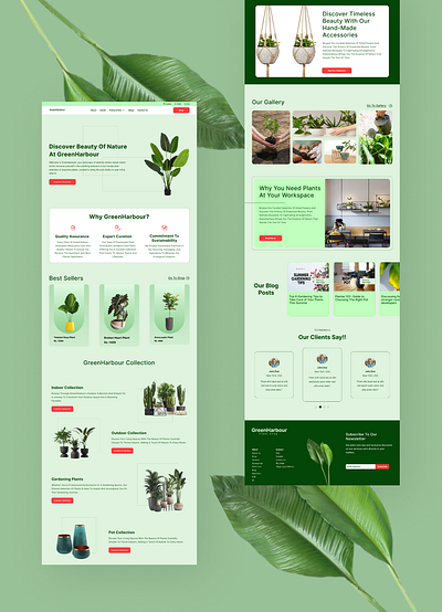 🌿 "GreenHarbour: Navigating the Sea of Sustainability" 🚀🌎 branding creative webdesign daily webdesign designtrend ecommercetrend figma trend figmainspration freelancer webdesign landing page plantecommercestore plantshopdesing productpage productpageinspiration productpagetrend ui uiux userexperiencedesign userinterfacedesign ux webinspiration