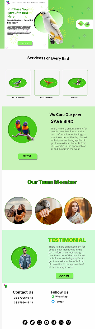 Bird Sale Website design ui web