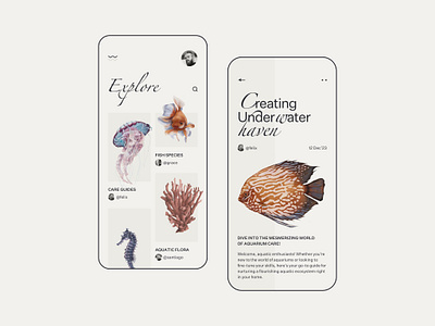 Aquarium Poster Design designs, themes, templates and downloadable graphic  elements on Dribbble