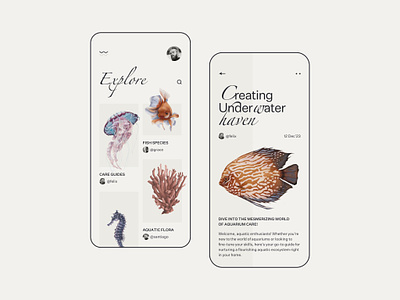 Explore underwater world aquarium branding coral design fish graphic design illustration jelyfish sea ​​horse uiux water