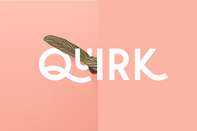 Quirk - Fun Display Font blogger display display font fun fun font king minimal modern font pink quality fontw queen quirk quirky quirky font sans serif the routine creative