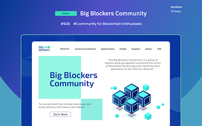 Big Blockers Community - Website Design dashbaord ui ux ux research uxuidesign web3 website design