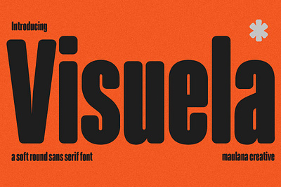 Visuela Sans Display Font displayfont font fonts logotype sans springfont typefacedesign visuela sans display font