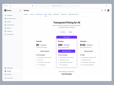 Earney - Payment Platform branding clean design designer graphic design pricing page saas ui uidesign ux uxdesign uxerflow web app web design website