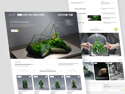Terra home page design ui uidesign uiux ux website