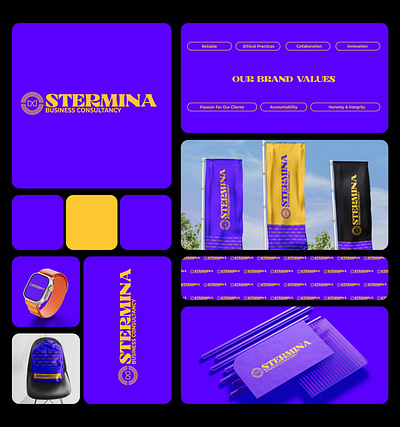 Stermina Business Consultancy Logo & Branding Design app branding design graphic design illustration logo typography ui ux vector