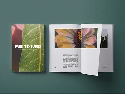 Editorial project on photography book design designinspiration editorial editorialdesign editorialphotography graphic design magazine layout magazinedesign minimal design natural aesthetic nature textures naturegraphics natureinspiration naturephotography photography photography book publicationdesign
