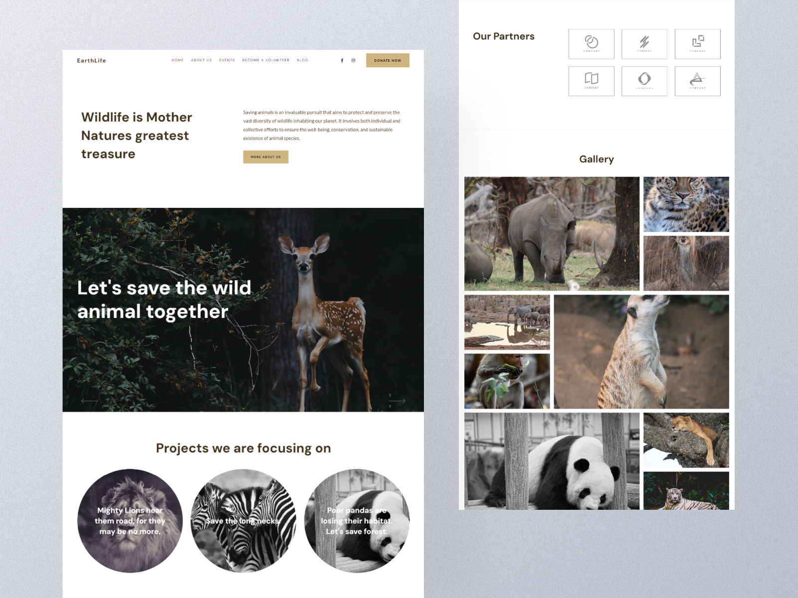 Ink - Wildlife Website Template By Pixpa On Dribbble