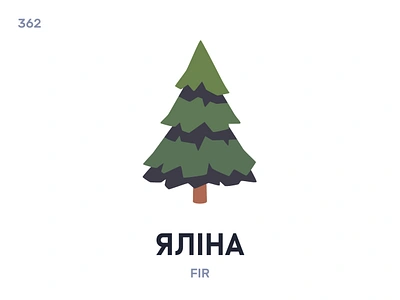 Ялíна / Fir belarus belarusian language daily flat icon illustration vector word