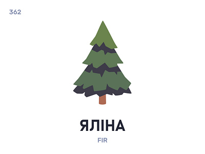 Ялíна / Fir belarus belarusian language daily flat icon illustration vector word