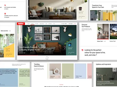 Paint Brand Website design ui uiux ux webdesign
