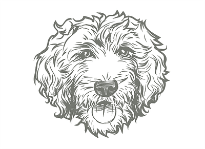 Sunnydoodle Logo/Illustration dogs logo pets sunnydoodle