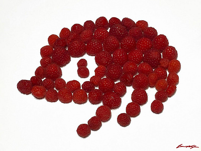 Knuckles [made of raspberries] dreamcast fruit knuckles logo raspberries sega sonic