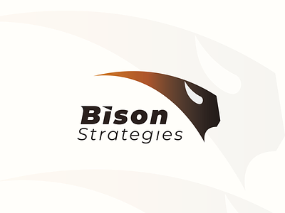 BISON Strategies branding bruner design graphic graphic design icon illustration logo mike ui